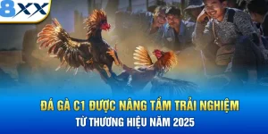 Đá Gà C1 Được Nâng Tầm Trải Nghiệm Từ Thương Hiệu Năm 2025