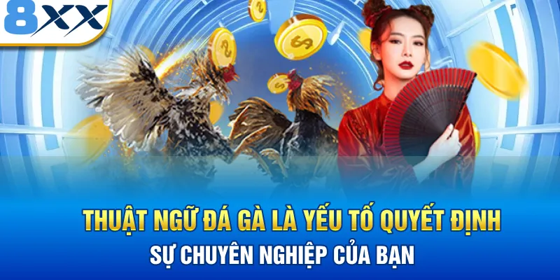 Thuật ngữ đá gà là yếu tố quyết định sự chuyên nghiệp của bạn